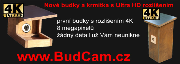 BudCam 4K - UltraHD